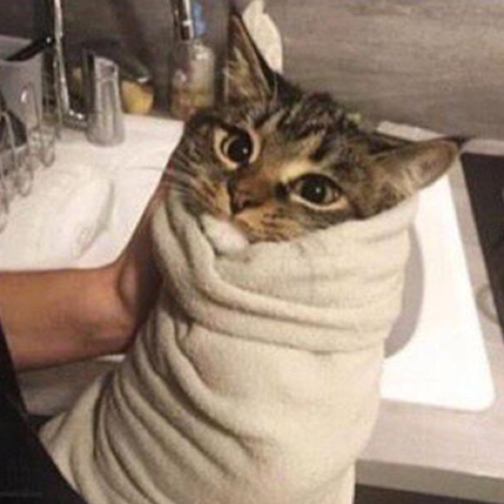 Meet your Posher, Jade